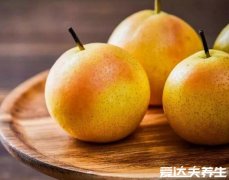 南果梨含酒精吗，南果梨的功效与作用禁忌