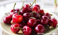 尿酸高吃什么食物最好最佳，尿酸最怕的三