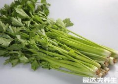 尿酸高吃什么最好最降得快，芹菜降尿酸的