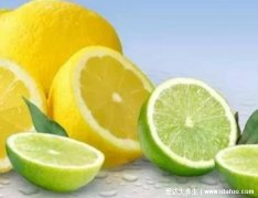 柠檬是酸性还是碱性食物,是弱碱性食物(酸