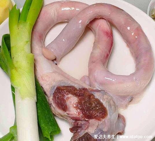 牛鞭是牛的什么器官长什么样图片,雄牛外生殖器(胶原蛋白高达98%)