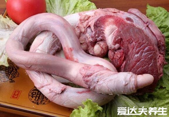 牛鞭是什么,牛鞭怎么做好吃最补肾壮阳(是公牛生殖器)