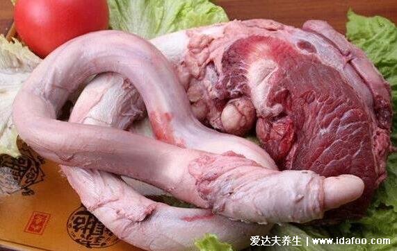 牛鞭是什么为什么那么长,1米多长的公牛生殖器图片