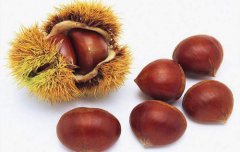 牛肉不能和什么一起吃，栗子生姜韭菜橄榄