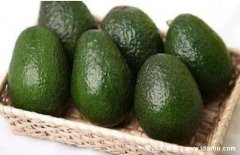 牛油果的营养价值,丰胸美容养颜(女性必吃