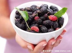 女人吃桑葚的禁忌，怀孕的女人不宜吃(空腹