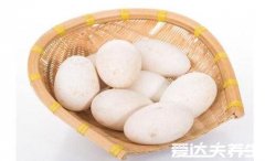 女性长期吃鹅蛋的好处,滋养肌肤等四大功