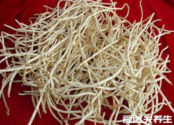 女人吃鱼腥草的好处,能有效防治妇科炎症的发生