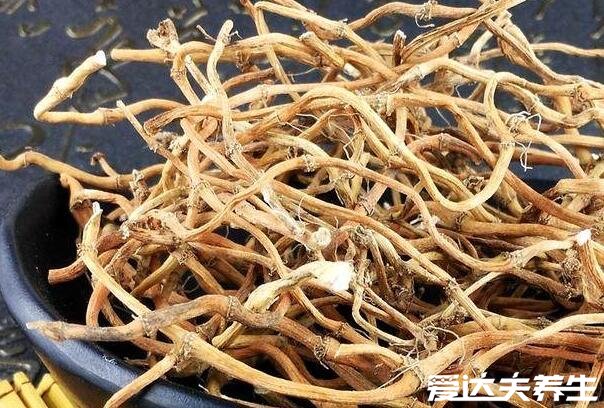女人吃鱼腥草的好处,适量食用可以防治妇科疾病