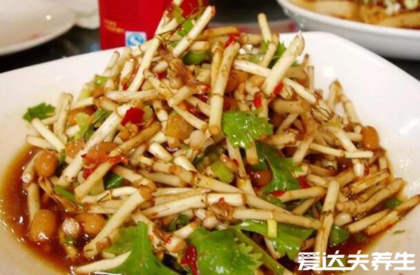 女人吃鱼腥草的好处,适量食用可以防治妇科疾病