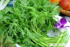 蓬蒿菜和茼蒿菜的区别，蓬蒿菜和什么不能