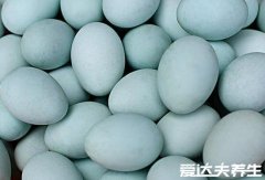 皮蛋是什么蛋不能和什么一起吃，为腌制后