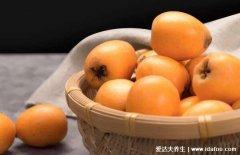 枇杷可以放冰箱保鲜吗,没熟透的保鲜好放