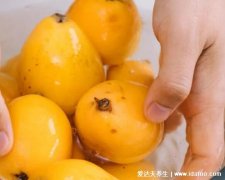 枇杷是凉性的还是热性的,是凉性的不上火