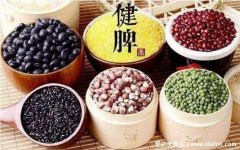 脾虚吃什么食物补最快，大枣泡水或煮粥最