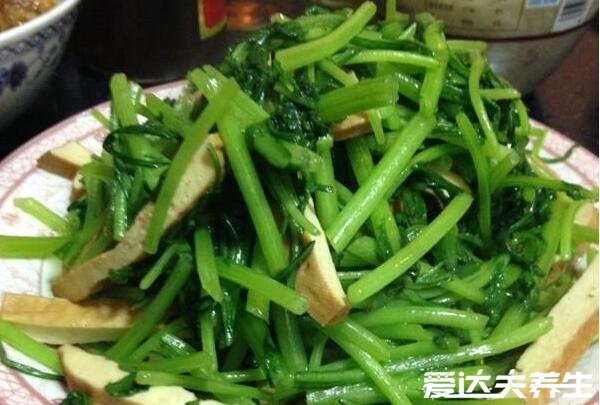蓬蒿菜和茼蒿菜的区别,蓬蒿菜和什么不能一起吃