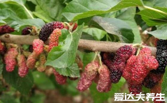 皮蛋是什么蛋不能和什么一起吃,为腌制后的皮蛋禁与红糖同食
