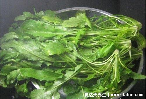 荠菜图片大全及功效作用,注意有毒荠菜的图片