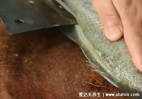 清蒸鲈鱼蒸鱼要多久,水开后可蒸12分钟(附做法视频)
