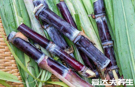 秋季吃什么养生,你应该知道的好吃又常见的四种食物