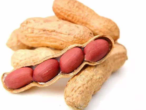 秋季吃什么养生,你应该知道的好吃又常见的四种食物
