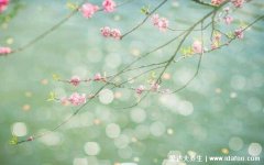 二十四节气表顺口溜，详细的24节气顺口溜大