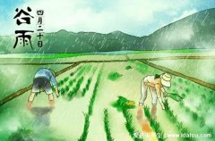 谷雨是什么意思，谷雨的来历和风俗有哪些