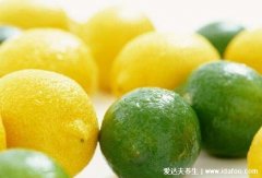 青柠檬和黄柠檬的区别，青柠檬维C高但维生
