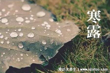 寒露穿什么衣服合适，冷空气南下北方南方有差异