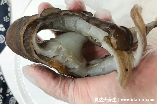 裙边是什么食物哪个部位图片,甲鱼壳边缘上的一圈软肉