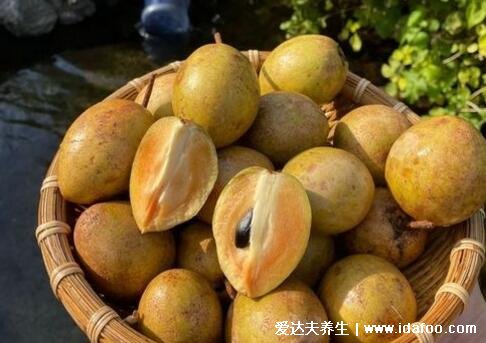 人心果图片和人参果的区别,人心果树干的汁液是口香糖的原料