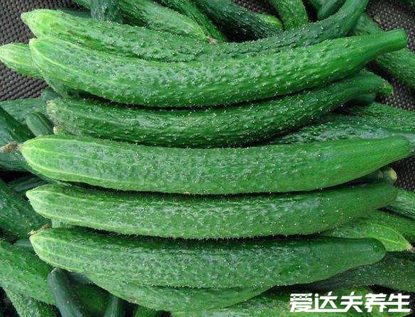 乳瓜和黄瓜有什么区别,乳瓜就是没长大的黄瓜吃起来脆嫩(图片)
