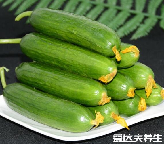 乳瓜和黄瓜有什么区别,乳瓜就是没长大的黄瓜吃起来脆嫩(图片)