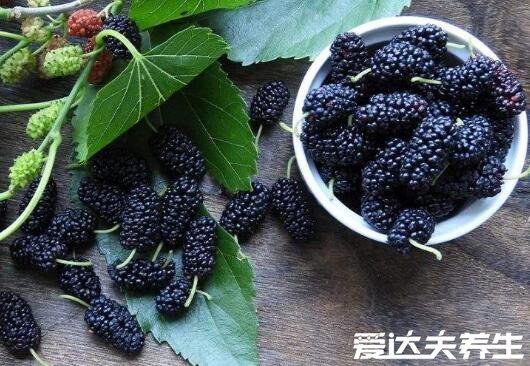 桑葚酒的功效与作用,除生津止渴还有这四大功效(三高者必看)