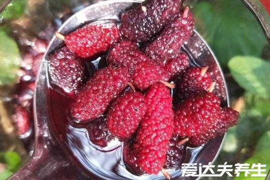桑葚酒的功效与作用,除生津止渴还有这四大功效(三高者必看)