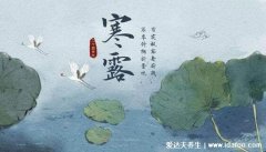 寒露穿什么衣服合适,冷空气南下北方南方