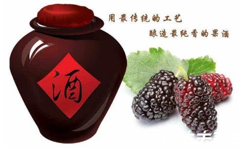 桑葚泡酒的功效与作用,不仅好喝还美容养颜