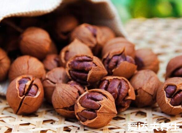 山核桃的功效与作用及禁忌,能补脑益智还能降三高(图片)