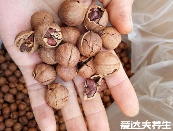 山核桃的功效与作用及禁忌,能补脑益智还能降三高(图片)