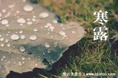 寒露节气的含义是什么意思，气温降低及时