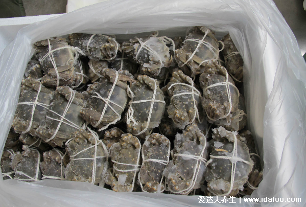 活螃蟹直接冷冻还是煮熟冷冻,直接冷冻可保存3个月不变质