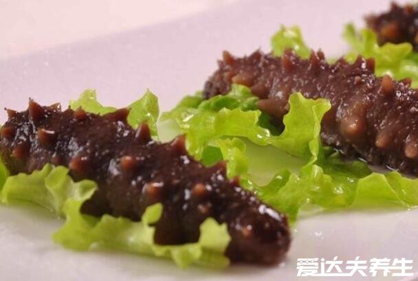 什么人不能吃海参,儿童和肾功能不佳等6大人群忌食