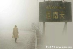 回南天是什么意思?2-4月气温回暖空气湿润异