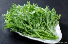 什么人不能吃茼蒿，蓬蒿菜和什么不能一起