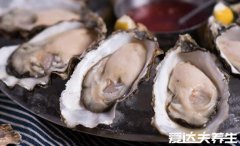 生蚝的功效与作用，男人吃了壮阳补肾女人