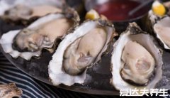 生蚝的功效壮阳提高性能力，长期吃不仅能