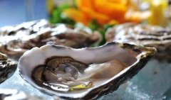生蚝哪些地方不能吃，生蚝不能吃的部位图