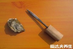 生蚝怎么清洗内脏图解，3步教你取出内脏团