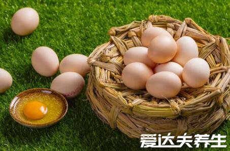 十大高蛋白食物排行榜,鸡蛋首当其冲