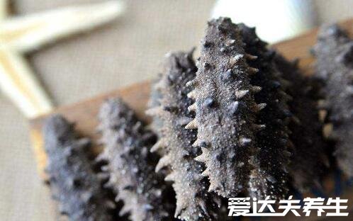 十大高蛋白食物排行榜,鸡蛋首当其冲